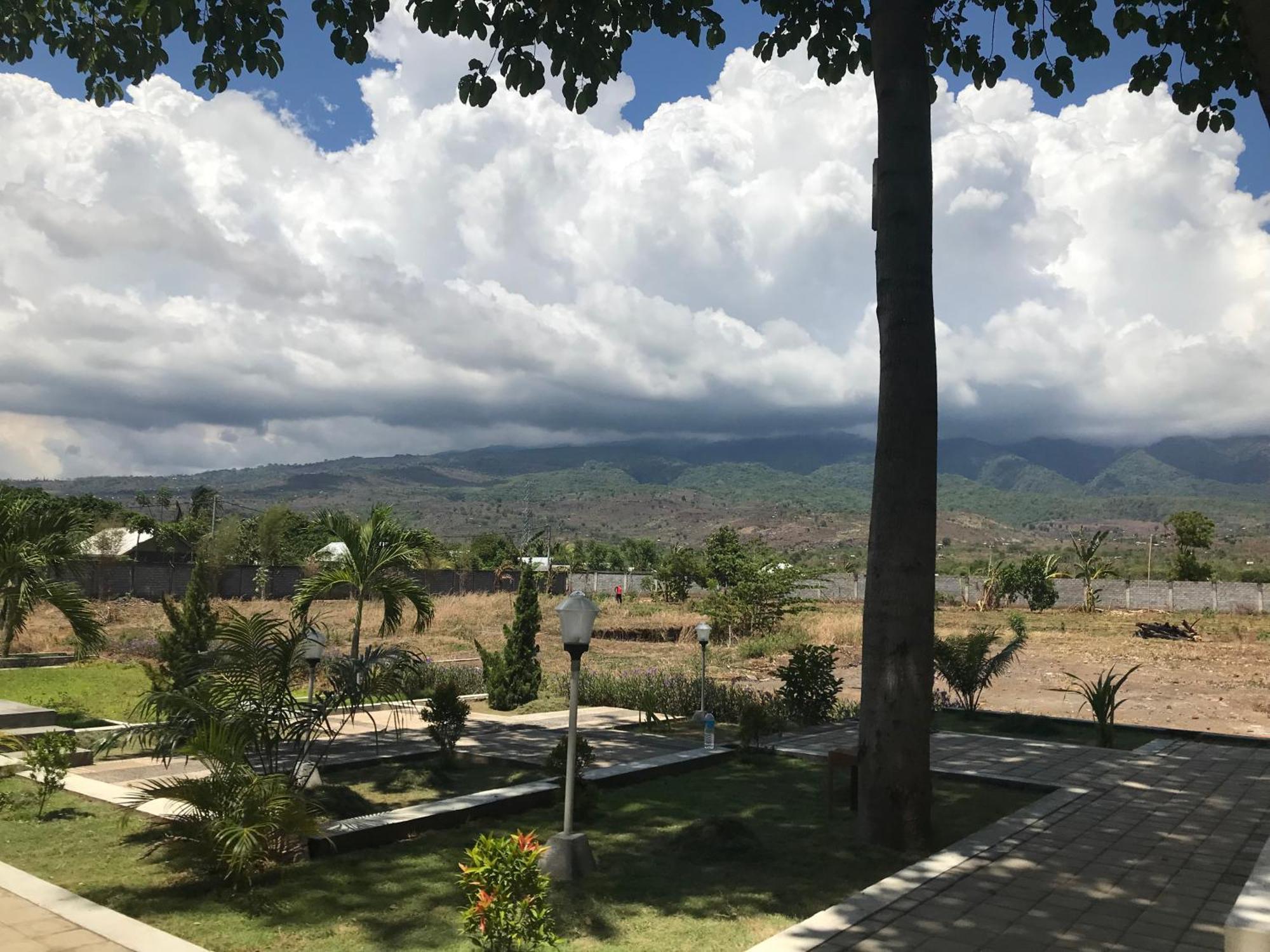 Pohon Purba Resort & Restaurant Labuhan Pandan 外观 照片