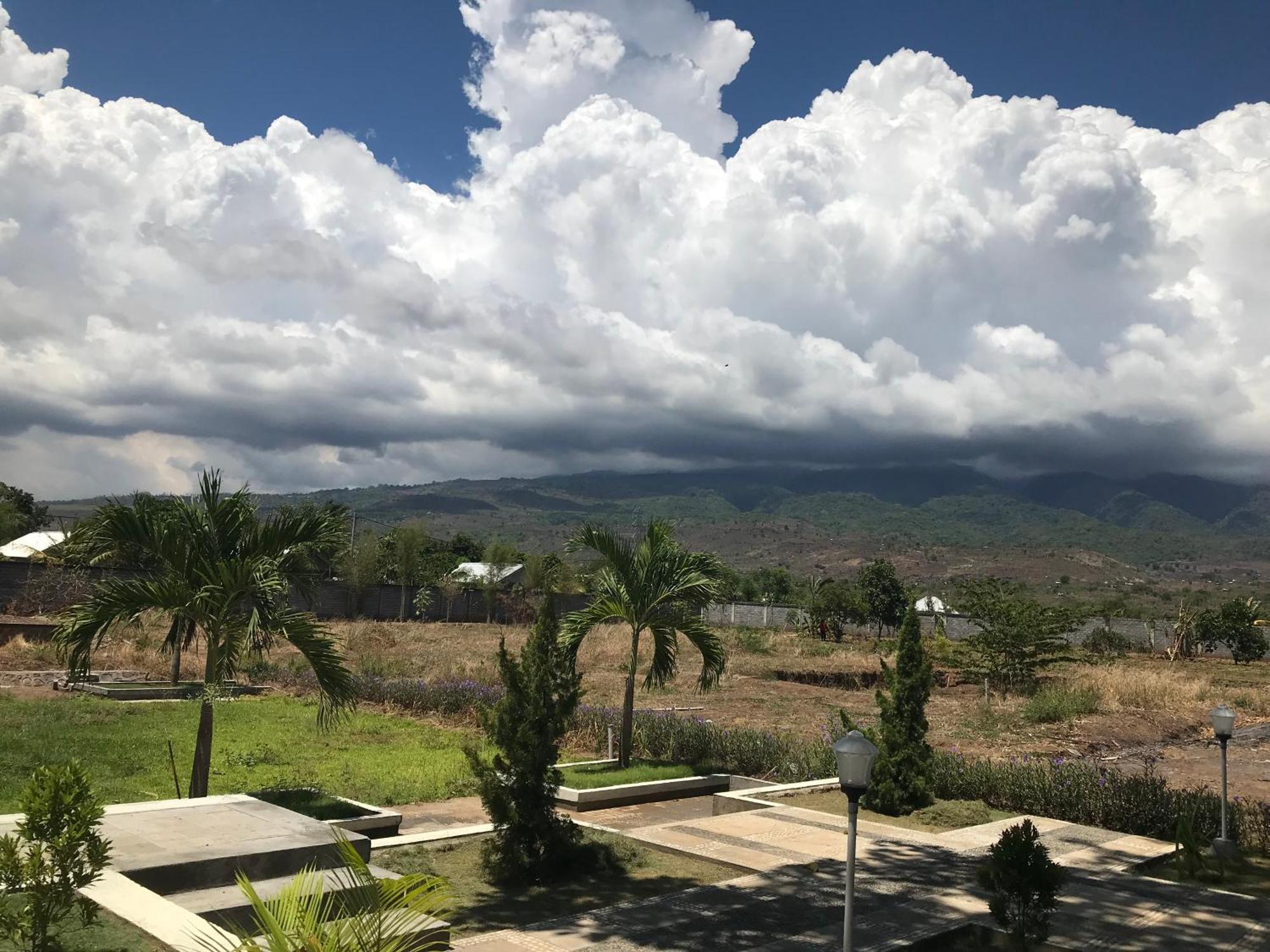 Pohon Purba Resort & Restaurant Labuhan Pandan 外观 照片