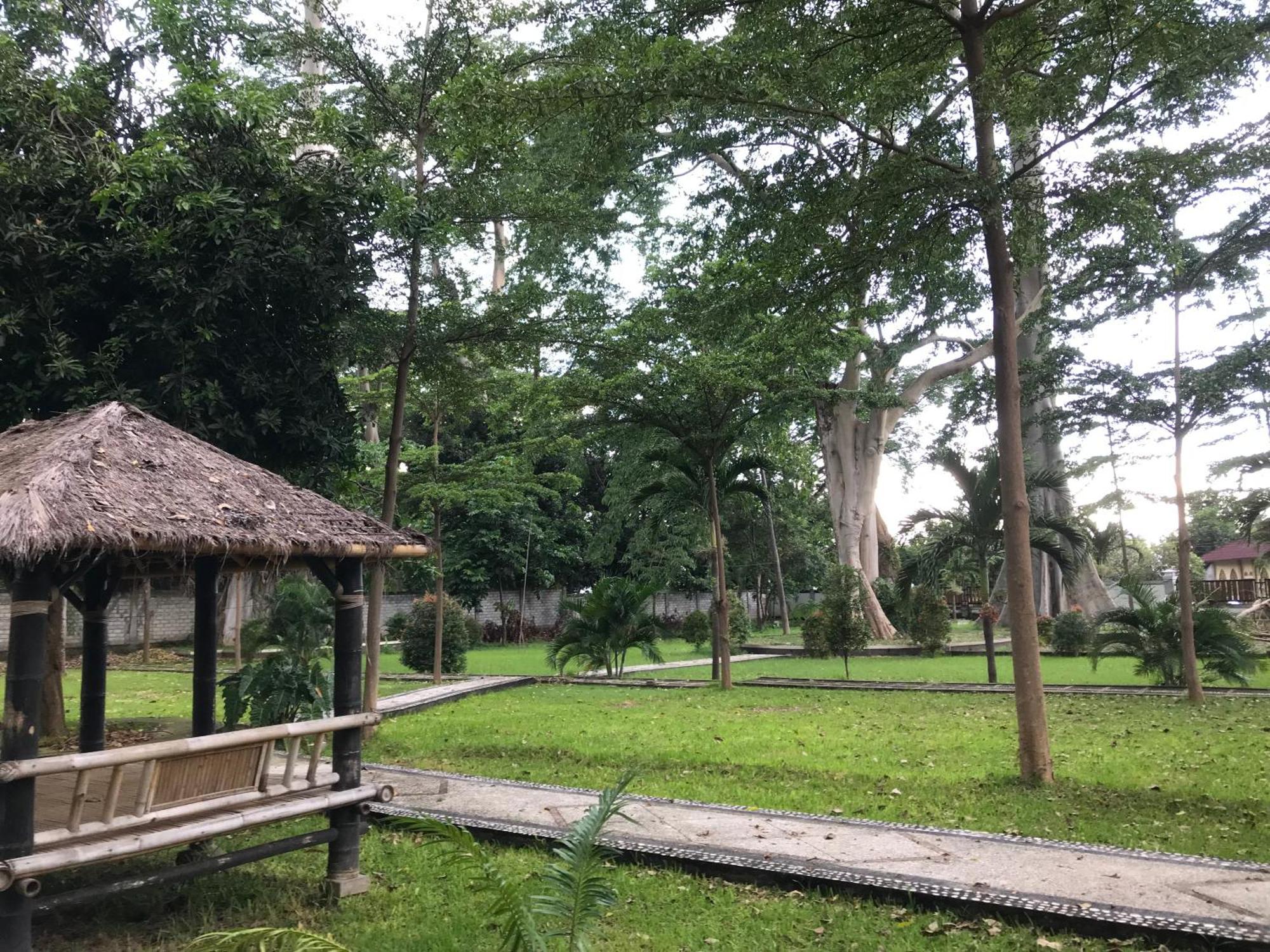 Pohon Purba Resort & Restaurant Labuhan Pandan 外观 照片