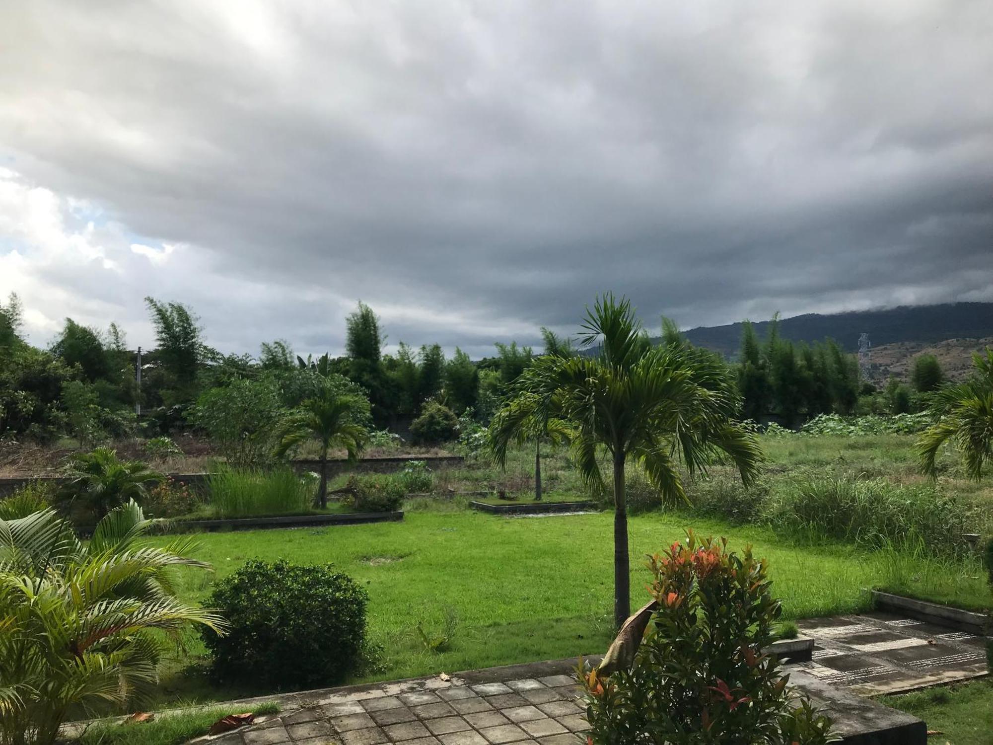 Pohon Purba Resort & Restaurant Labuhan Pandan 外观 照片