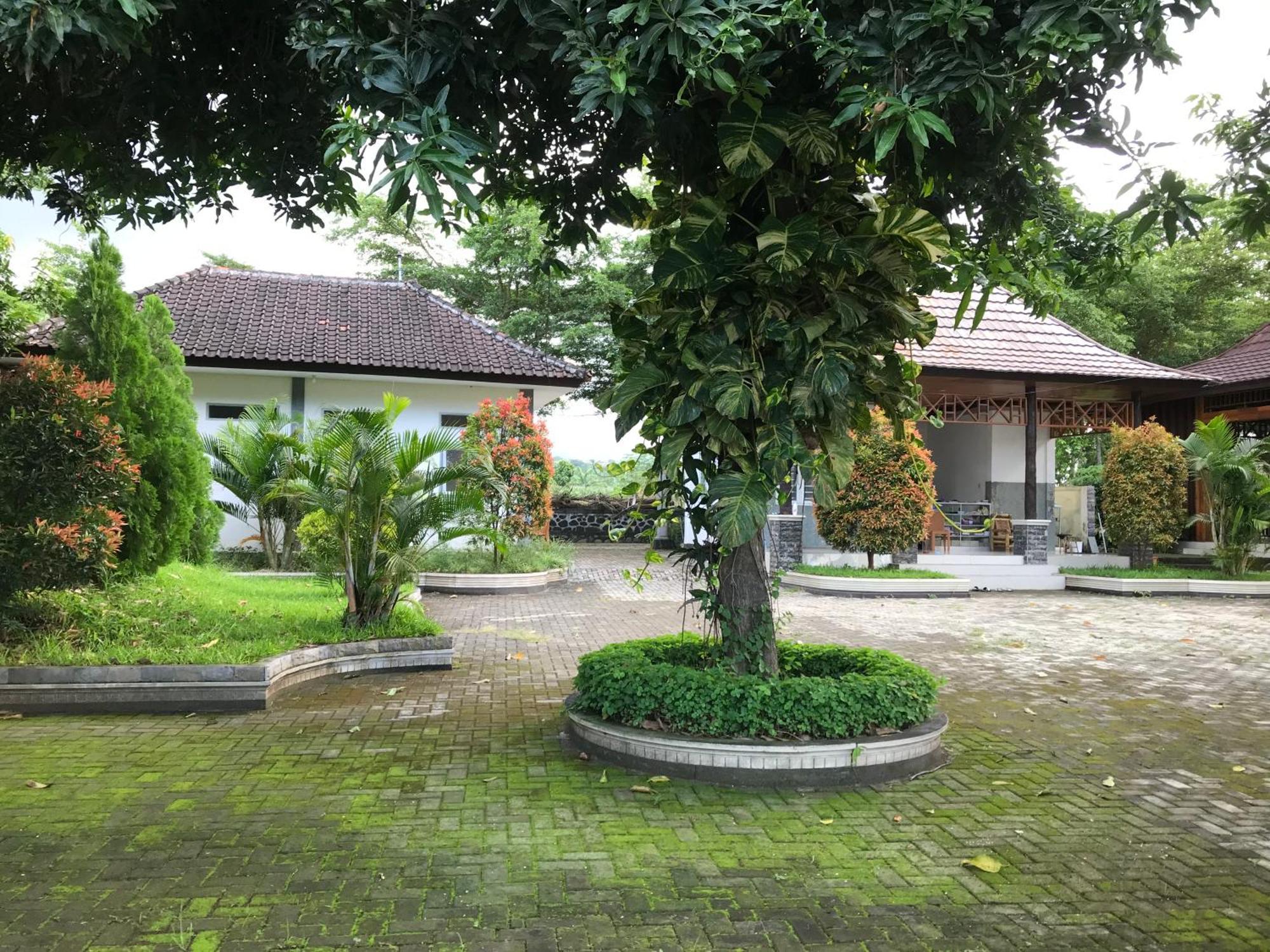 Pohon Purba Resort & Restaurant Labuhan Pandan 外观 照片
