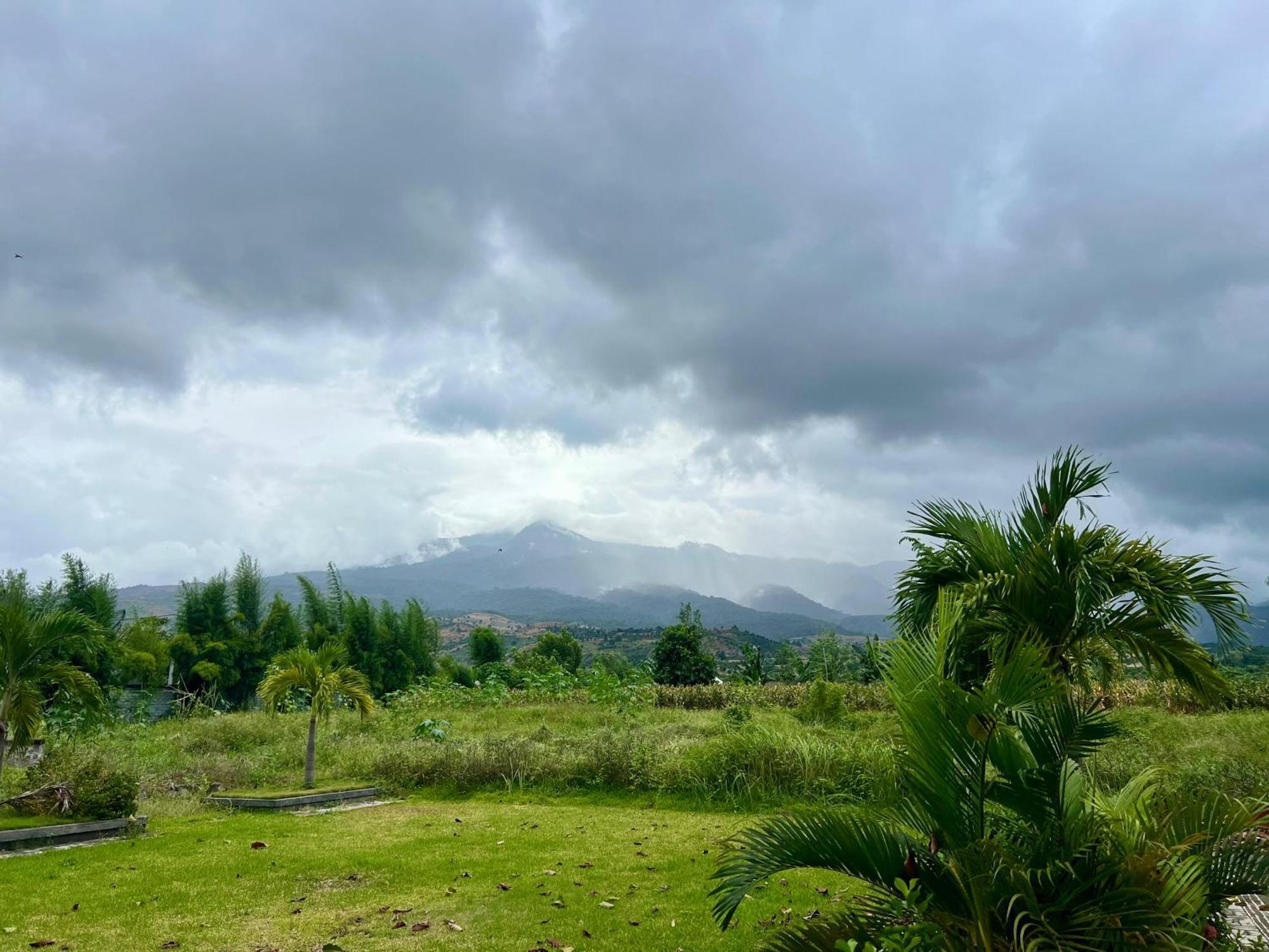 Pohon Purba Resort & Restaurant Labuhan Pandan 外观 照片