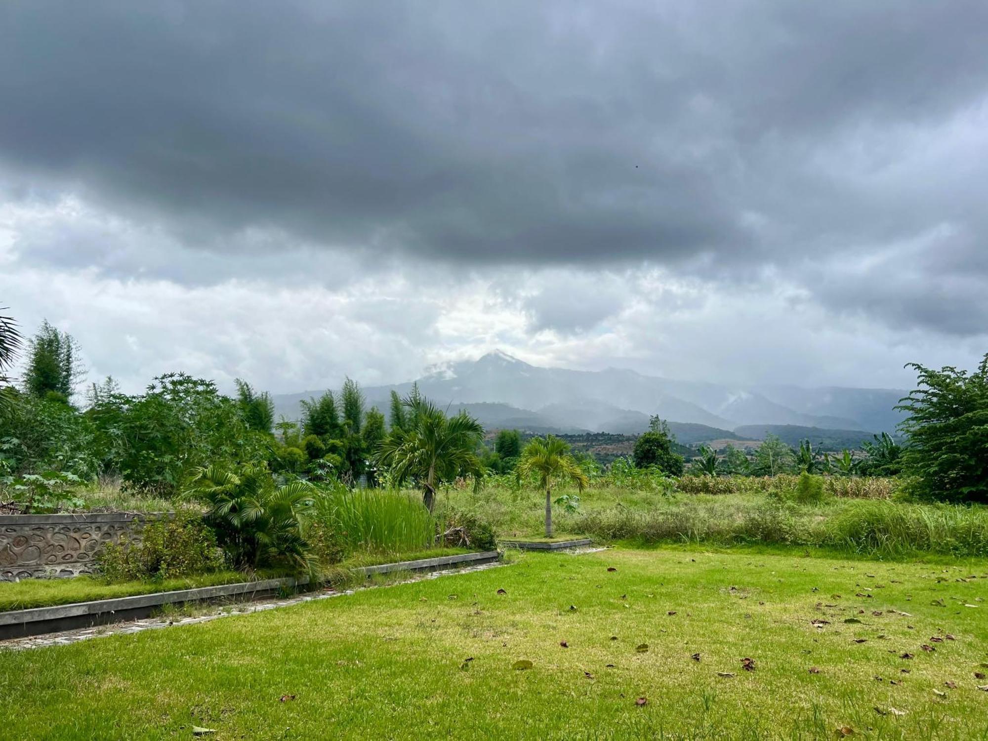 Pohon Purba Resort & Restaurant Labuhan Pandan 外观 照片